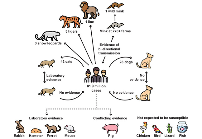 chais-diagram-1 chais-diagram-1