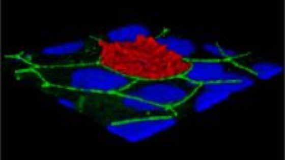 Virology Virology